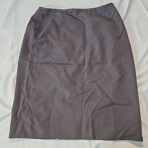 Womens Plus Size Office Wear Classiques Entier Skirt 16 Gray  Lined Minimalist